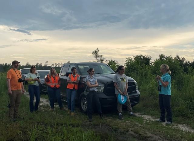 People learn about the Swallow-tailed Kite in a working forest