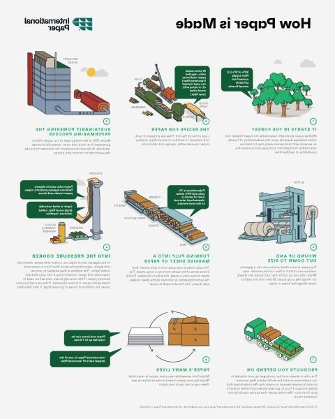 an infographic illustrating the step by step paper making process